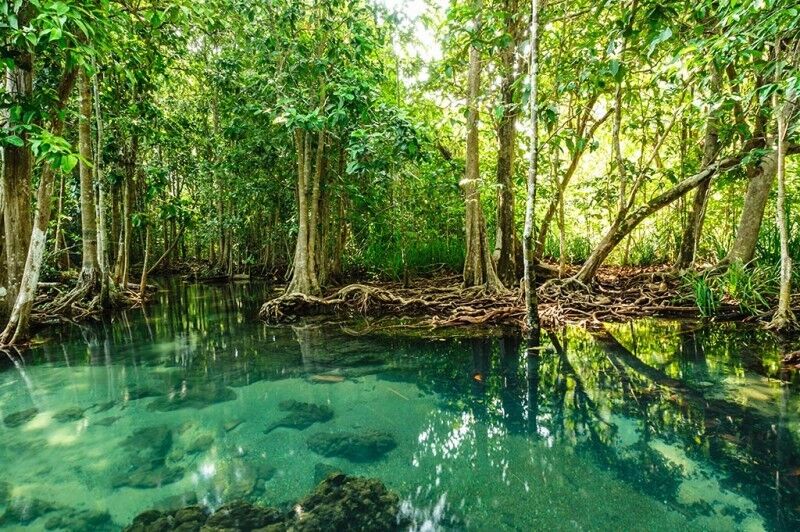 Start your day with nature’s masterpiece